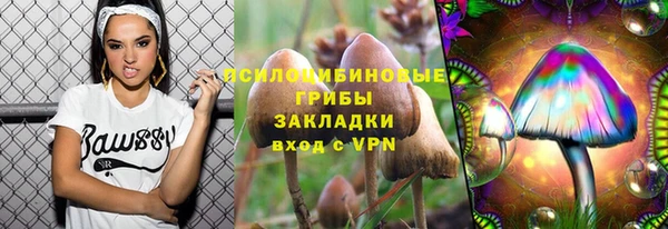 соль ск Бородино