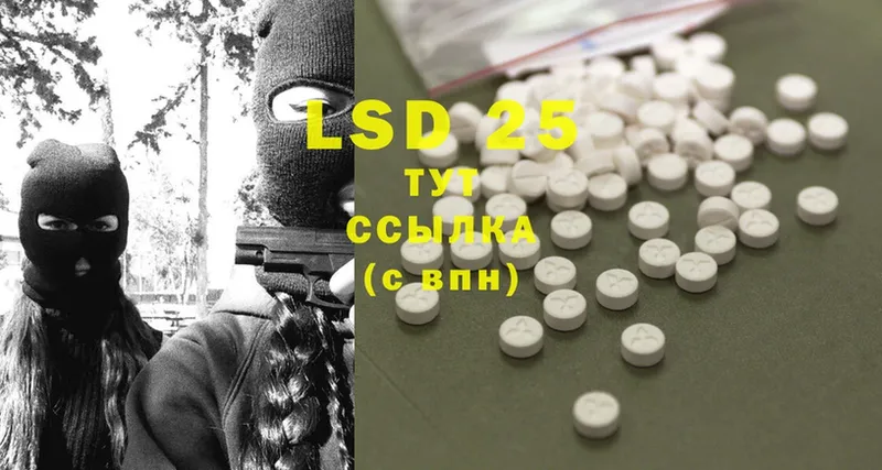 ссылка на мегу зеркало  Новопавловск  LSD-25 экстази ecstasy 