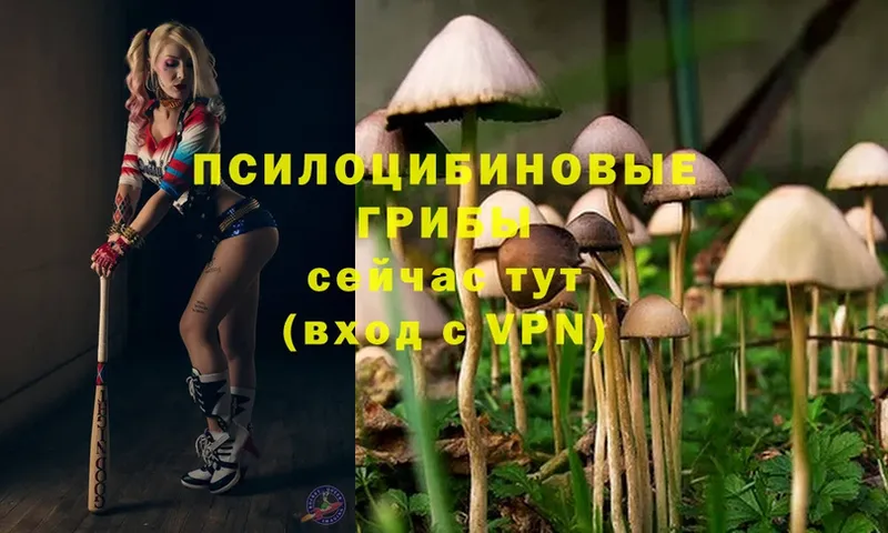 Галлюциногенные грибы Magic Shrooms  Новопавловск 