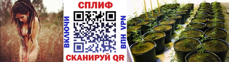 Каннабис марихуана  Новопавловск 